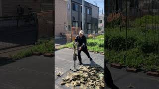 2026 412 タカピーの居合