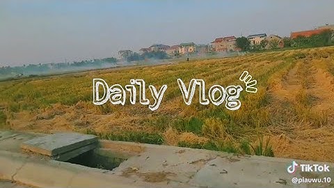 #3/ Tổng hợp những video Daily Vlog chill chill #Tiktok 🌾🌾