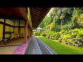 【龍のお寺】美しい日本の庭園 in 龍潭寺(静岡県浜松市)
