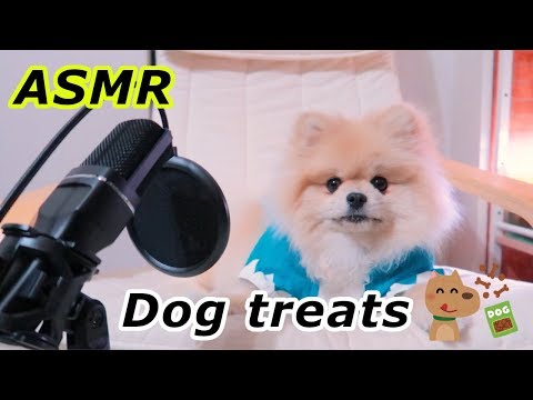 【ASMR】モチ、犬のおやつの咀嚼音【ポメラニアン】