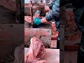 Innovative Pork Cutting Machine : Precision Brain Split Process
