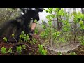 Middle of video