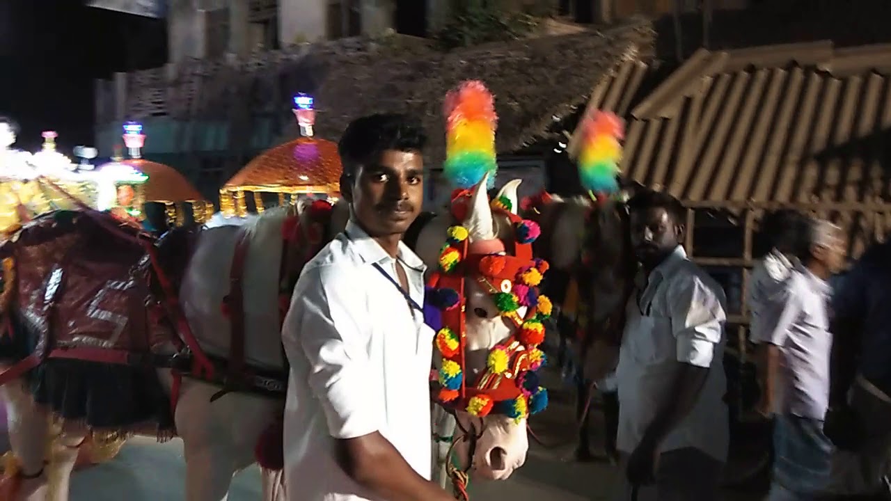 Koradachary LS dancing Horse and cariote event company Tiruvarur dist