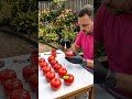 No one believes this concrete planter started with egg trays 😲🌷 #SatisfyingVideo #transformatio
