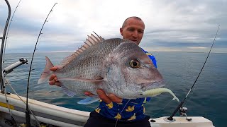 Fishing for BIG Snapper on Soft Plastic Lures | Insane Session, Coastal Fishing Australia