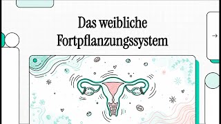 The female reproductive system | SIMPLY EXPLAINED