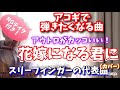 吉田拓郎 花嫁になる君に(カバー) 拓郎さんのスリーフィンガー代表曲! ※NGテイク付き