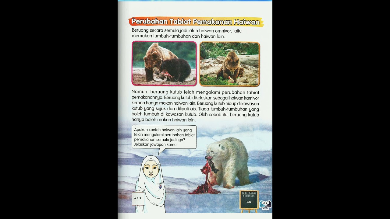 Haiwan Yang Makan Tumbuhan Dan Haiwan Sains Hayat Tahun 2 Haiwan Yang Makan Tumbuhan Dan Haiwan Kambing Lembu Arnab Kuda Haiwan Yang Makan Haiwan Lain Alina Lina