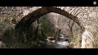 Valle Arroyo de Canencia, Comunidad de Madrid