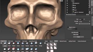 0300 Mudbox 2014 Unit intro)