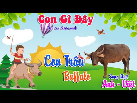 Video Con Gì Đây | Dạy Bé Đọc Tên Các Con Vật | Con Trâu - youtube