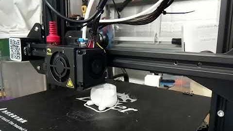 3d Printed Gopher Timelapse