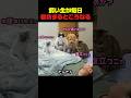 飼い主が毎日寝坊するので、猫と犬はついに #猫 #犬 #猫動画 #犬動画 #ペット