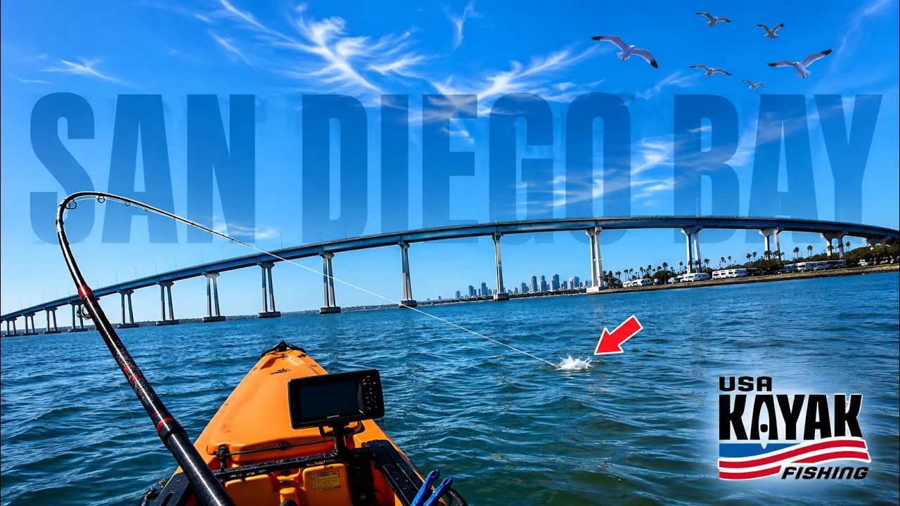 The Road to TEAM USA Starts Here… San Diego Bay (DAY 1 & 2)