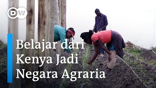 Pupuk Organik dari Urin Kelinci dan Sari Kelapa, Bantu Petani Kenya Lawan Hama | DW Inovator