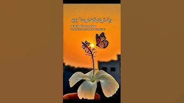 قران كريم سورة الغاشيه تلاوه خاشعه