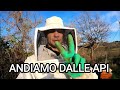 ARRIVA IL  FREDDO 🥶.. LE API SARANNO VIVE?!