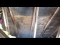 Goldmorr - Attic Mold Remediation Effectiveness