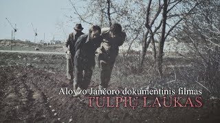 Aloyzo Jančoro Dokumentinis Filmas Tulpių Laukas