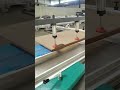 #slidingtablesaw #woodworkingmachineryandequipmt #decoration#safety