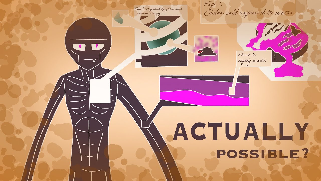 The insane biology of Minecraft’s endermen