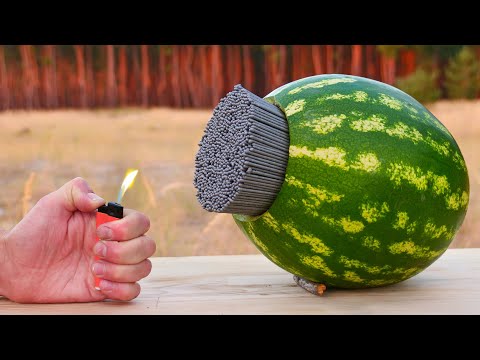 EXPERIMENT: A lot of Sparklers vs Watermelon