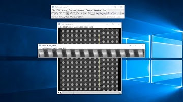 ImageJ/Fiji Tutorial : Playing with Stacks Option