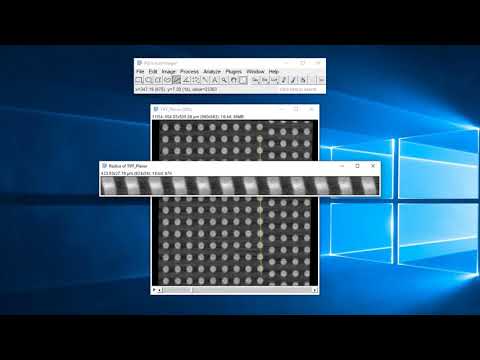 ImageJ/Fiji Tutorial : Playing with Stacks Option