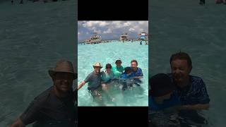 Stingray City GRAND CAYMAN! #shorts #stingray #caymanislands