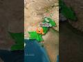 Pakistan to UK #shorts #trending #pakistanviral #facts #map
