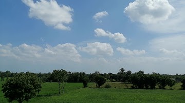 Ornithopter 3d printed in India DIY, scratch build