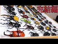 ムシキング】甲虫図鑑のフィギュアがフルコンプしたので標本にして飾っ