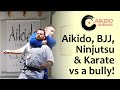 AIKIDO, BJJ, NINJUTSU AND KARATE, VERSUS A BULLY!