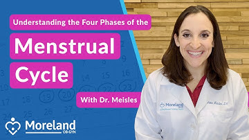 The Four Phases of the Menstrual Cycle Explained