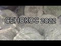 Сенокос 2022. Итоги.