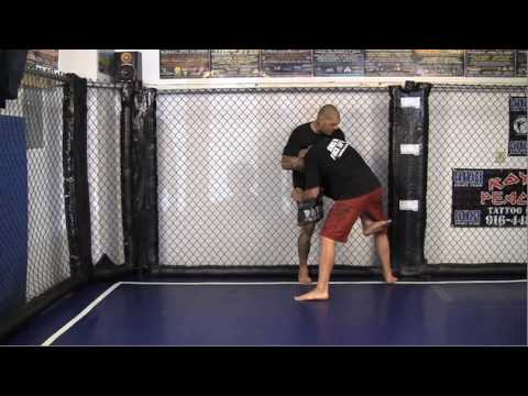 Standing Guillotine - Jaime Jara Cage Control Vol....