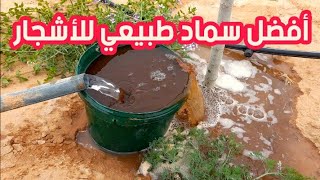 أصنع سماد منشط لنمو الاشجار في أسرع وقت🌳 ... The best fertilizer to stimulate the growth of trees🌴🌳