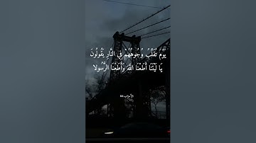 يسأَلك الناس عن الساعة قل إِنما علمها عند اللّه وما يدريك لعل الساعة تكون قريبا ) القارئ إسلام صبحي