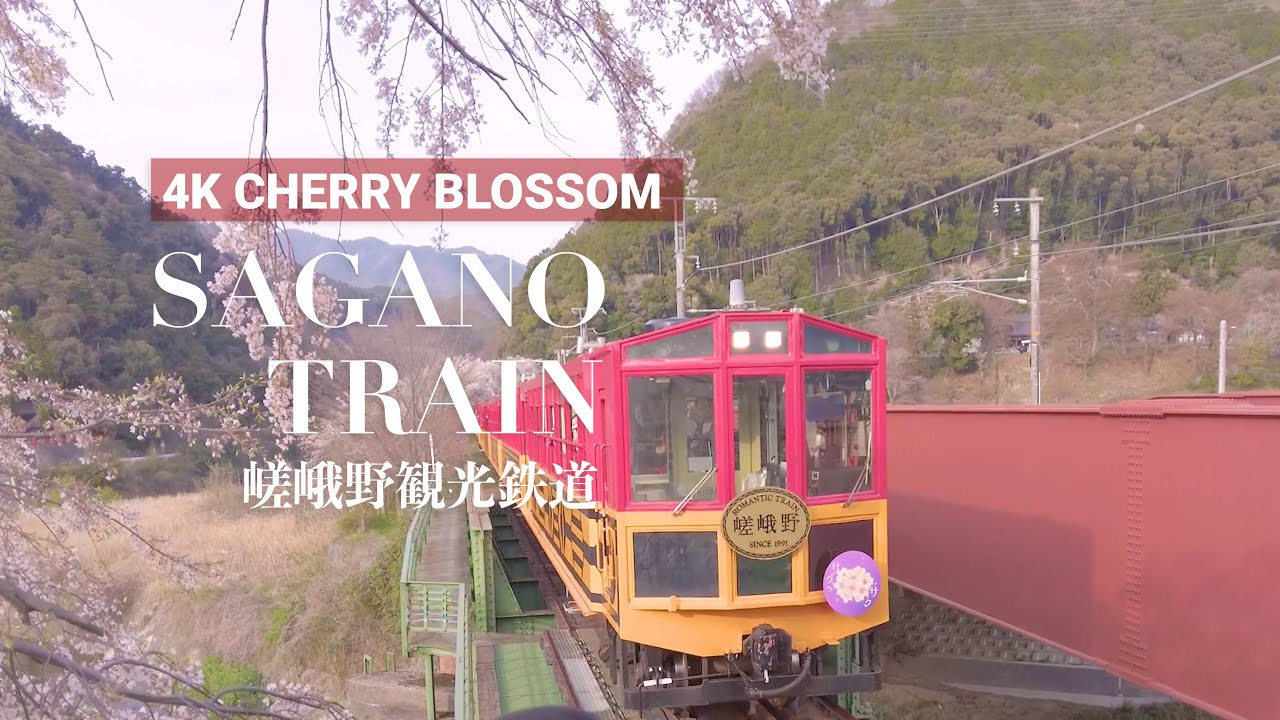 [4K JAPAN] Sagano Romantic Train Through Cherry Blossoms 