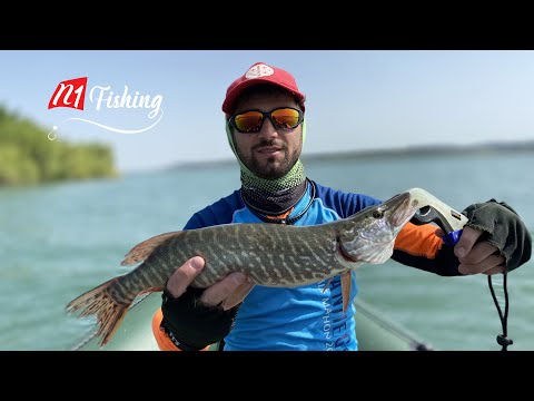 მტაცებელი თევზის თავშესაფარი  თევზაობა ნავიდან თბილისის ზღვაზე