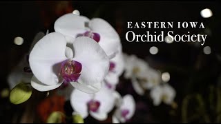 Eastern Iowa Orchid Society Intro Video