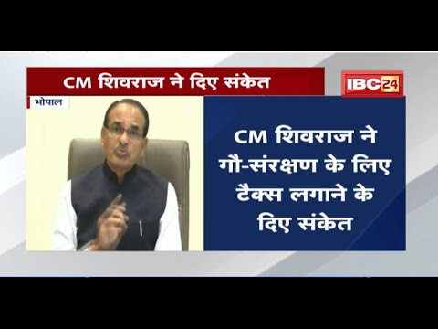 MP गौ-पालन एवं पशुधन संवर्धन बोर्ड की बैठक। CM Shivraj ने गौ-संरक्षण के लिए टैक्स लगाने के दिए संकेत