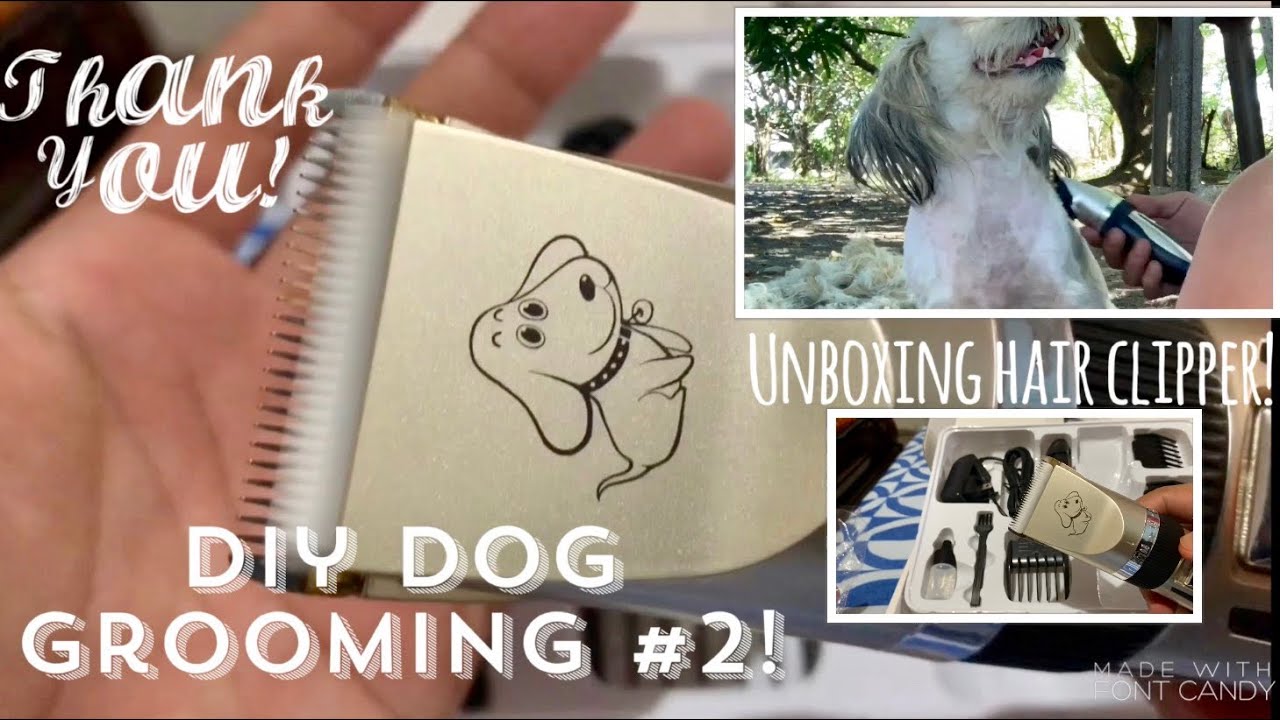 DIY Dog Grooming 2! Unboxing my HAiR Clipper YouTube