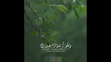 القارئ سالم الرويلي /سورة يوسف /🌸