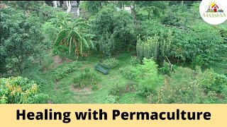 Transformation of Aanandaa Permaculture Farm in 10 years