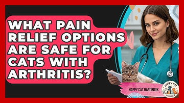 What Pain Relief Options Are Safe For Cats With Arthritis? - Happy Cat Handbook