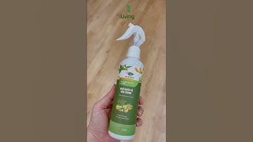 Cách đuổi muỗi, kiến, gián & côn trùng chỉ nhờ 1 chai xịt phòng tinh dầu Vietleaf | iLiving