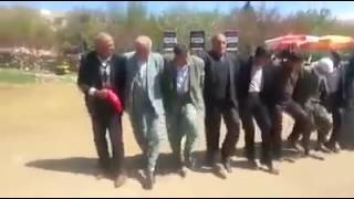 Viranşehir Şevko Halay