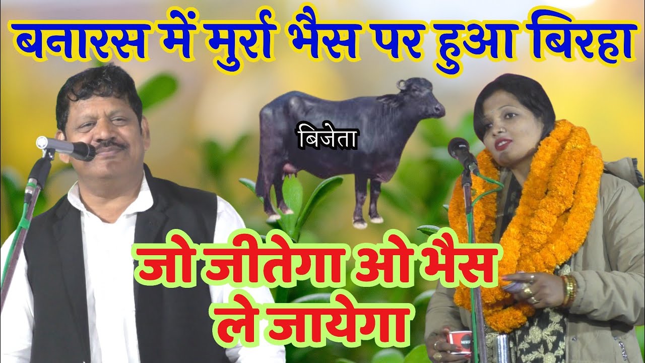 #भैस_पर_हुआ_बिरहा जो जीतेगा भैस उसकी बनारस मे #कविता_बनारसी #भैयालाल_पाल का बिरहा bhais ke lie birha