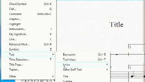 Title, composer, tempo (Sibelius 6)